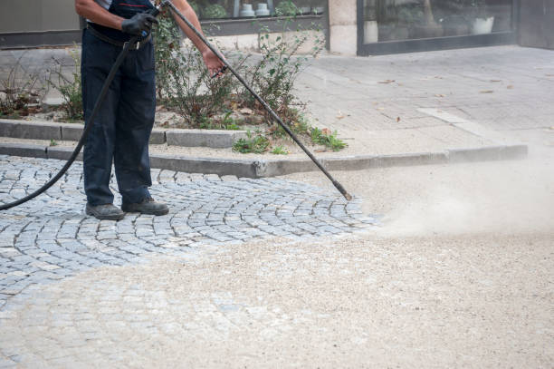Animal Enclosure Cleaning in Feather Sound, FL