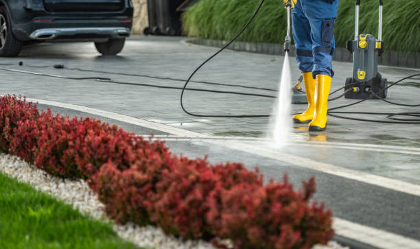 Best Patio and Deck Pressure Washing  in Feather Sound, FL
